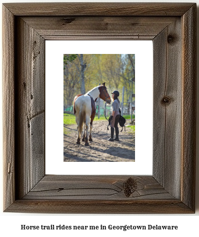 horse trail rides near me in Georgetown, Delaware